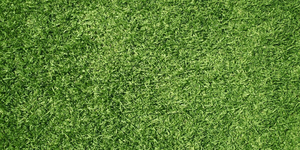 Césped artificial que está bien cuidado y luce en perfectas condiciones