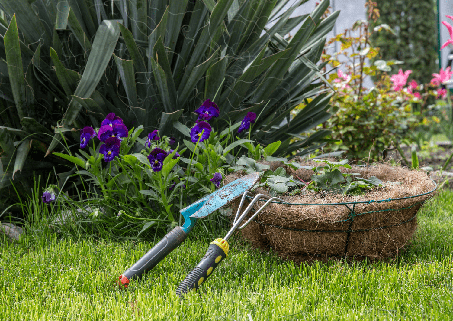 Plantas y flores decorando jardín con la ayuda de giroverd
