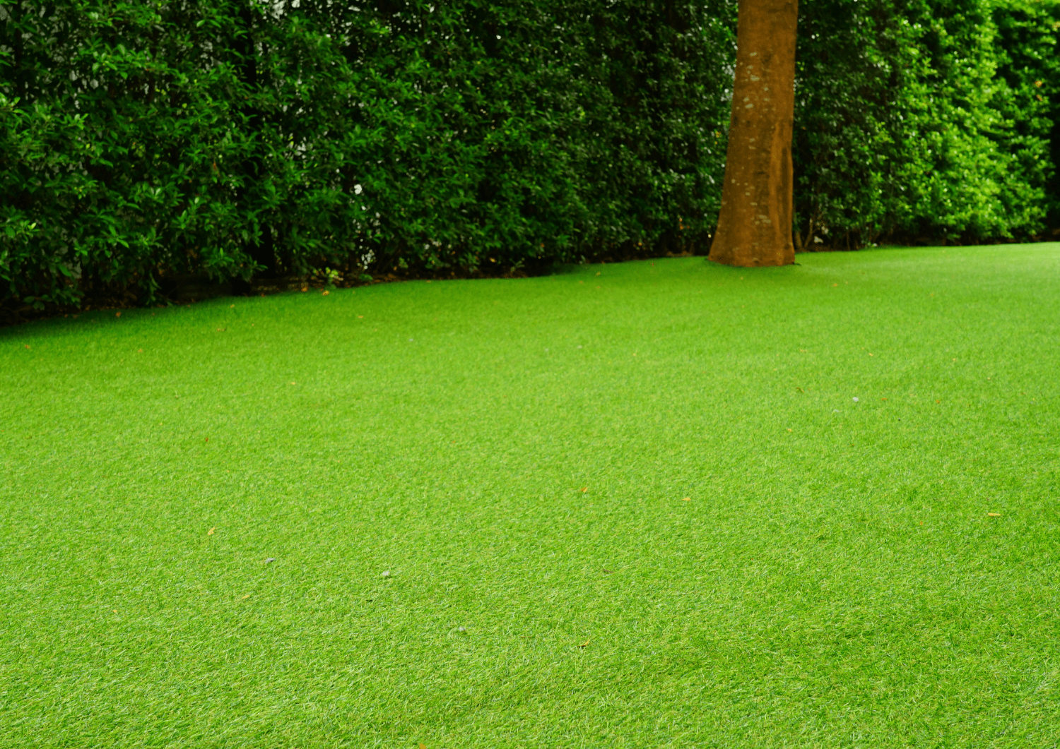 Patio trasero de casa en Barcelona con césped artificial