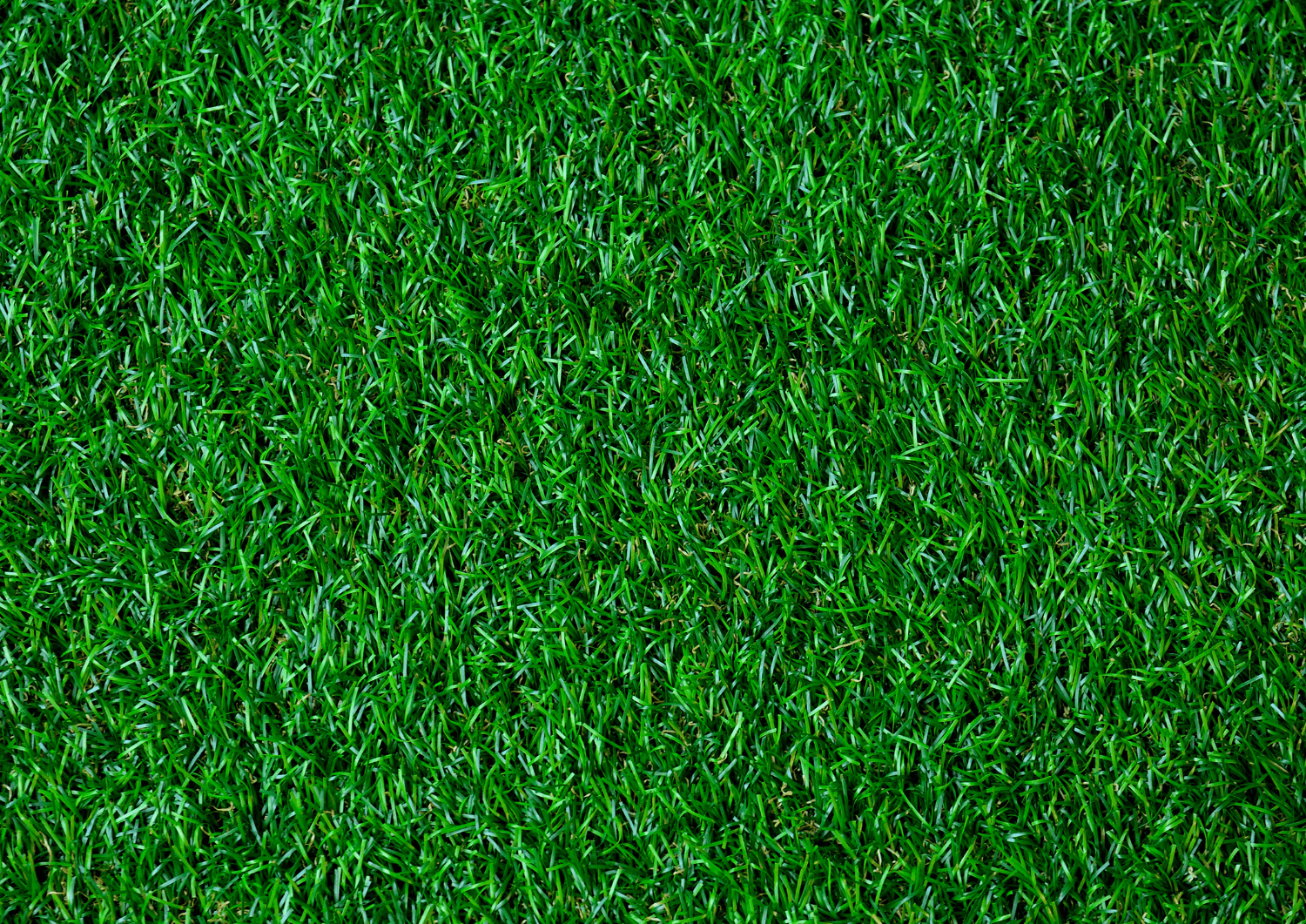 Césped bueno, resistente y de calidad de la empresa Naturcesped