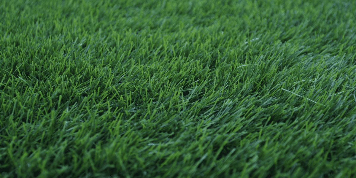 Césped artificial comprado online a giroverd