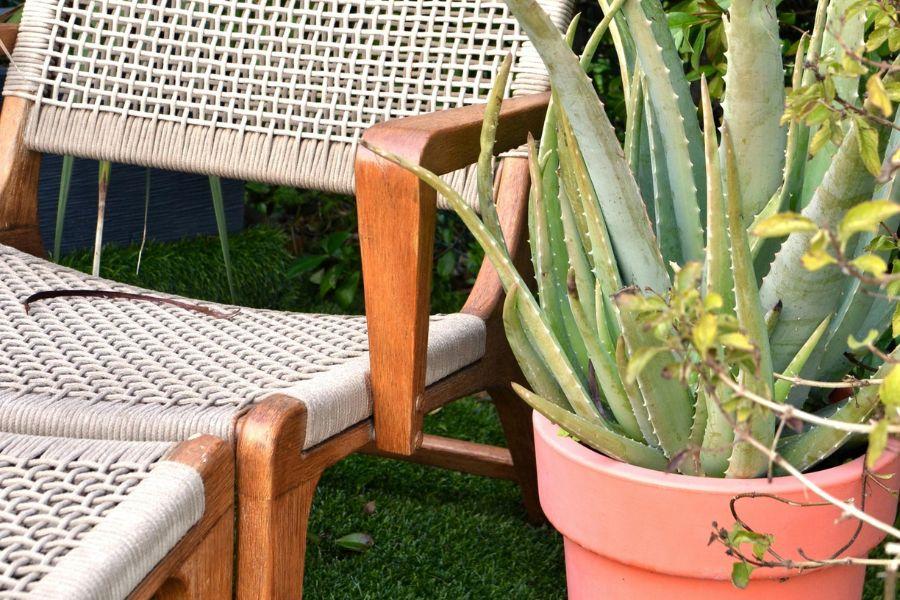 tumbona y planta de una   terraza
