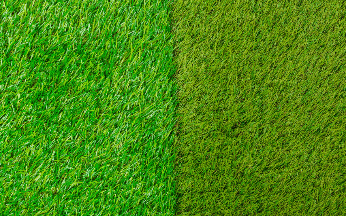 Comparación de dos tipos de césped sintético decorativo con distintas alturas y tonalidades de verde